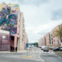 Visita ao Bairro da Portela